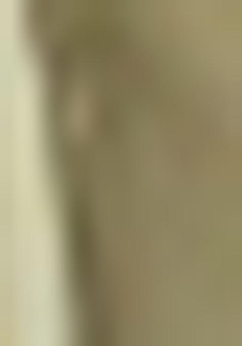 Pista Green Weaving Silk Saree Set