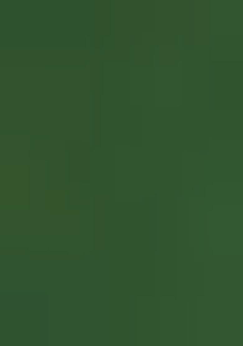 Pista Green Weaving Silk Saree Set