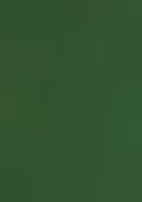 Pista Green Weaving Silk Saree Set