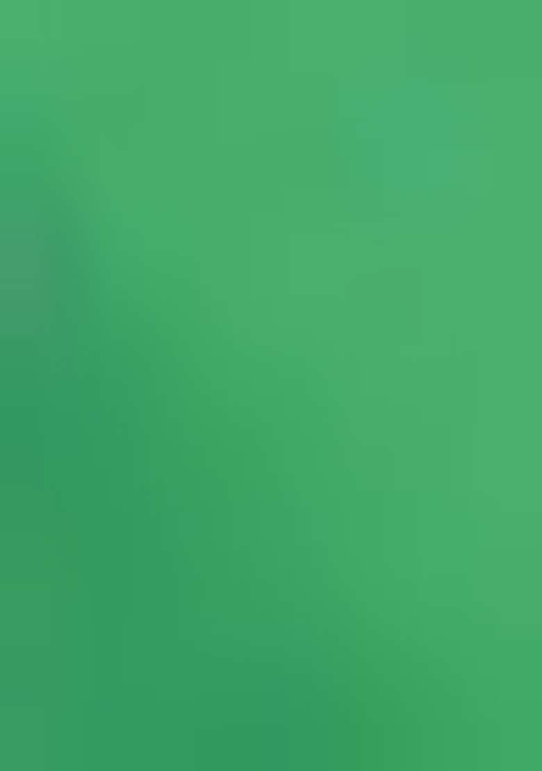 Popty Green Weaving Silk Saree Set for Diwali | Wedding & Festive Wear - Indya