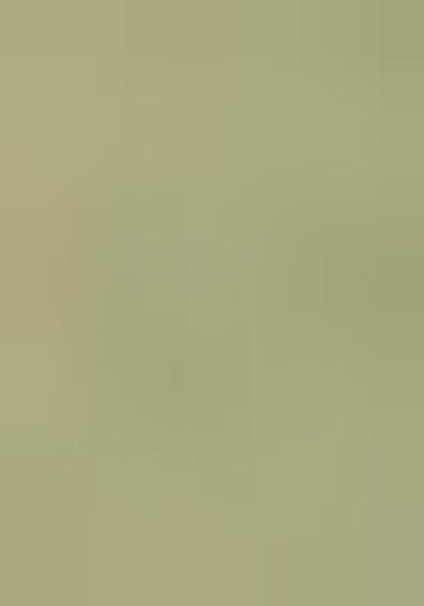 Pastel Green Embroidered Silk Saree Set