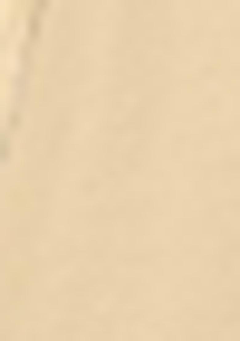 Off White Embroidered Silk Saree Set