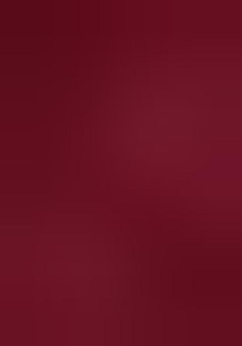 Wine Solid Silk Saree Set