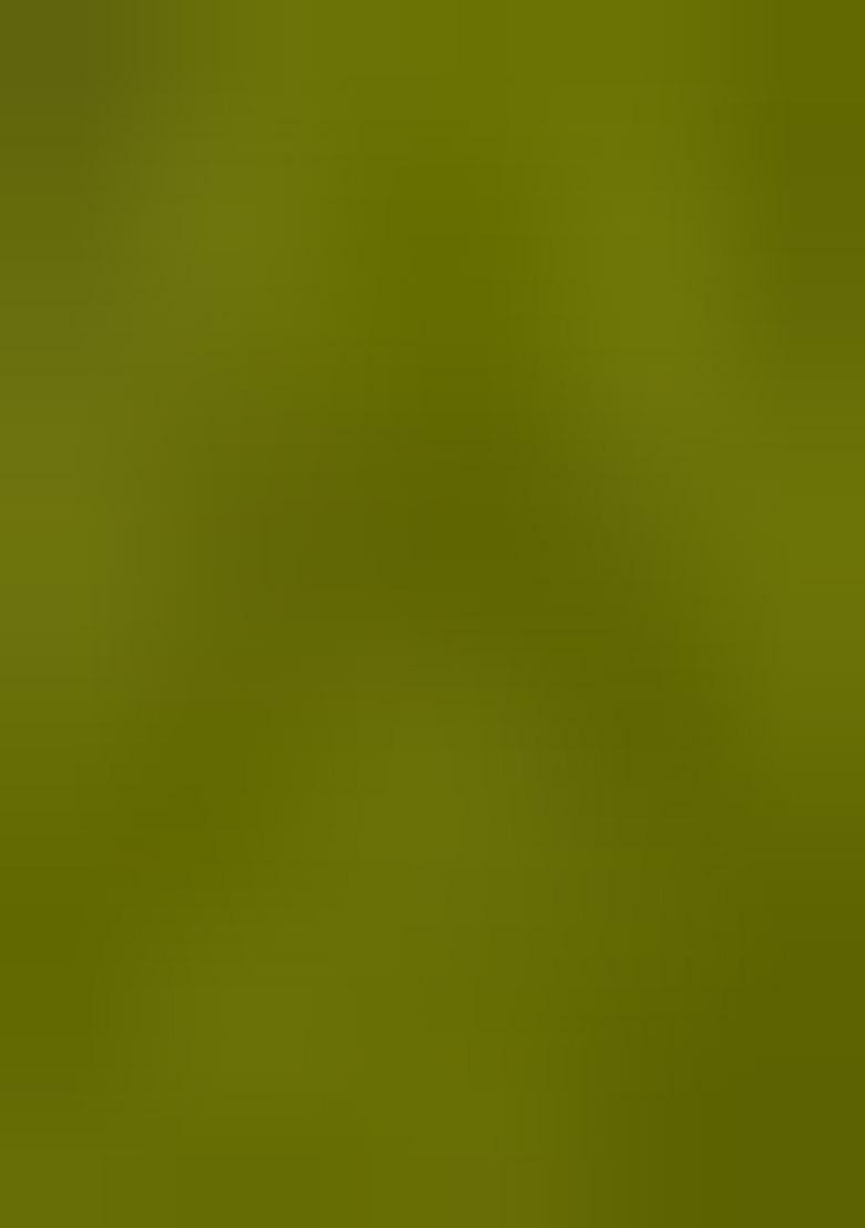 Mehendi Green Solid Silk Saree Set