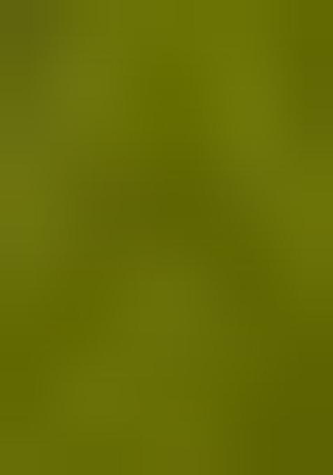 Mehendi Green Solid Silk Saree Set