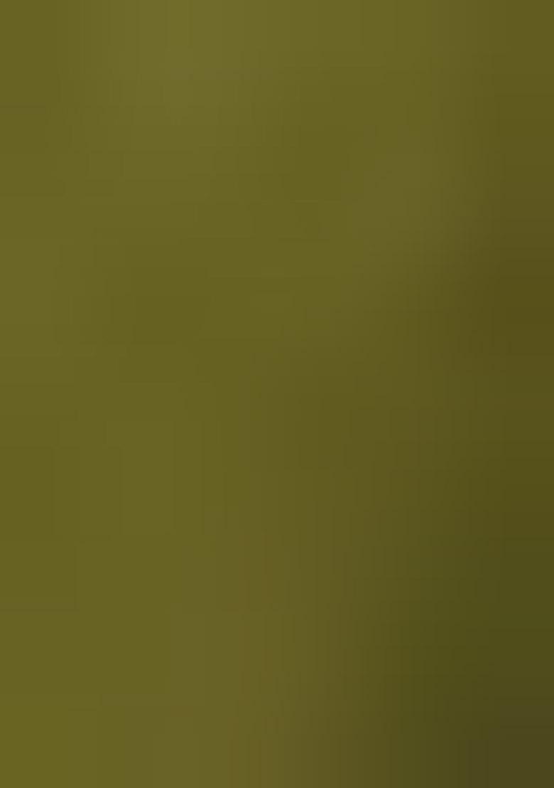 Olive Green Beads And Stone Silk Saree Set