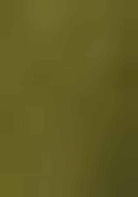 Olive Green Beads And Stone Silk Saree Set