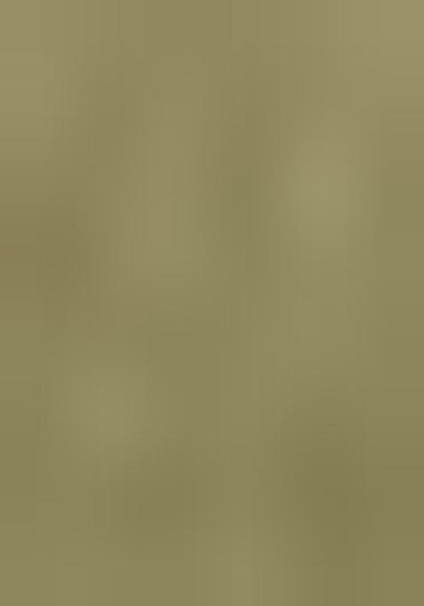 Pista Green Beads And Stone Silk Saree Set