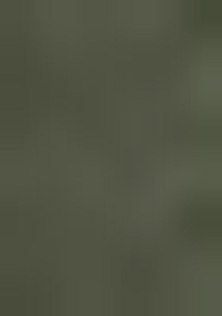 Mehendi Green Beads And Stone Net Saree Set