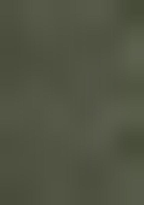 Mehendi Green Beads And Stone Net Saree Set