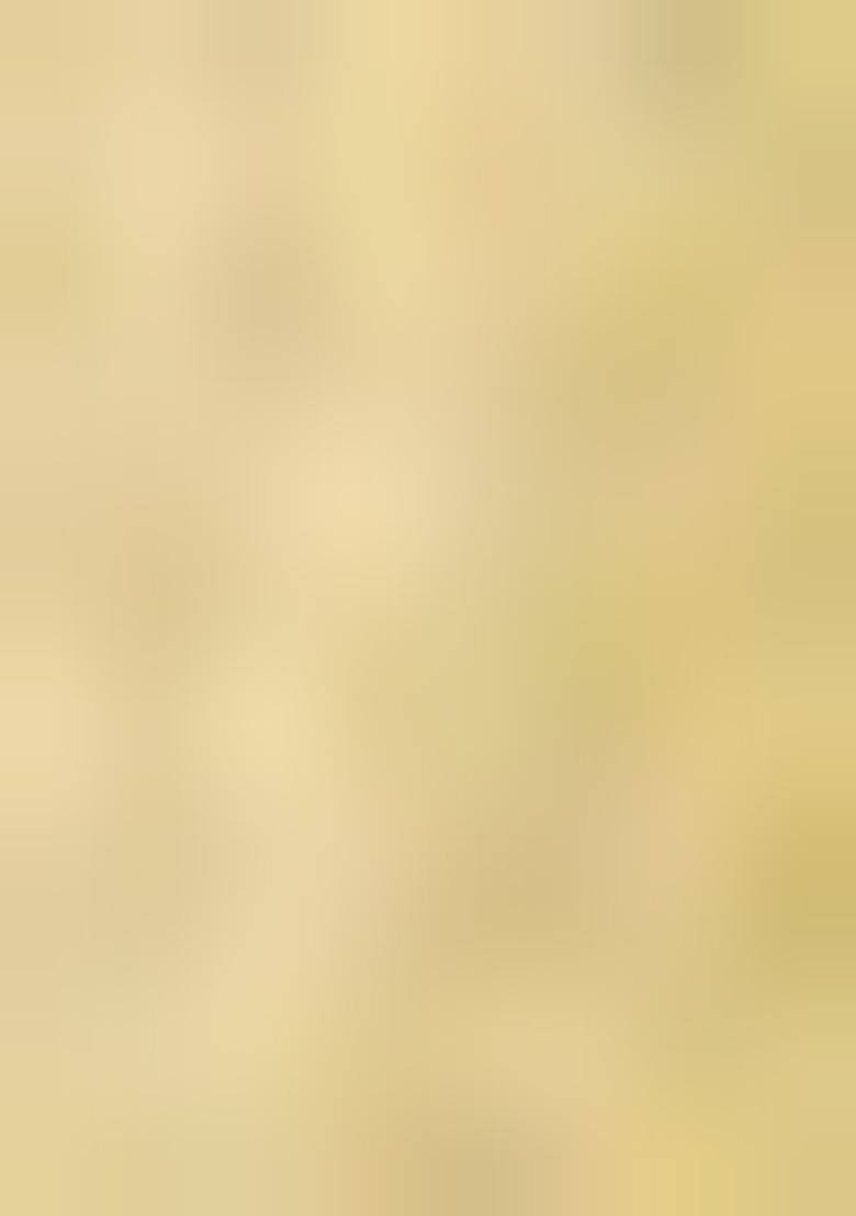 Olive Green Embroidered Organza Saree Set