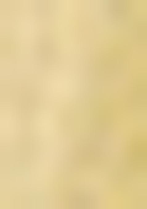 Olive Green Embroidered Organza Saree Set