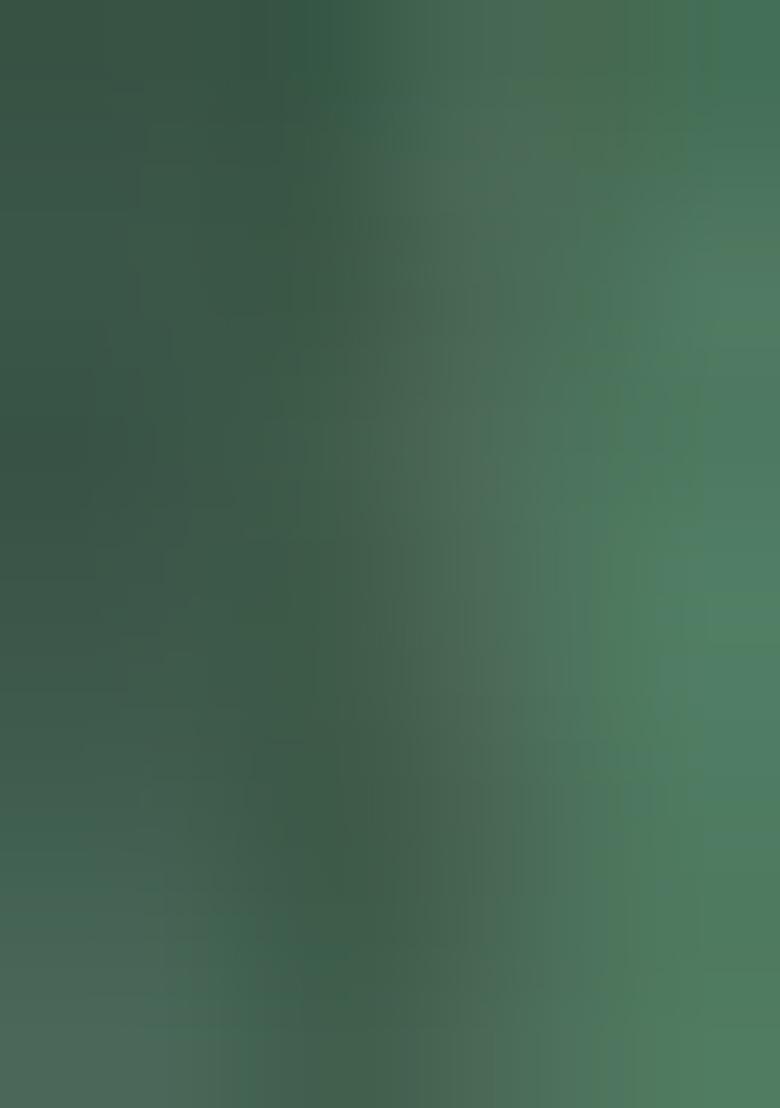 Green Embroidered Silk Pre Stitched Saree Set