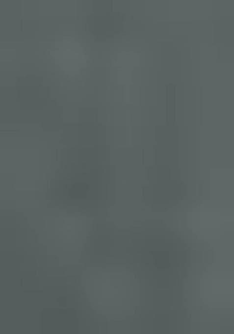 Mineral Green Printed Silk Saree Set