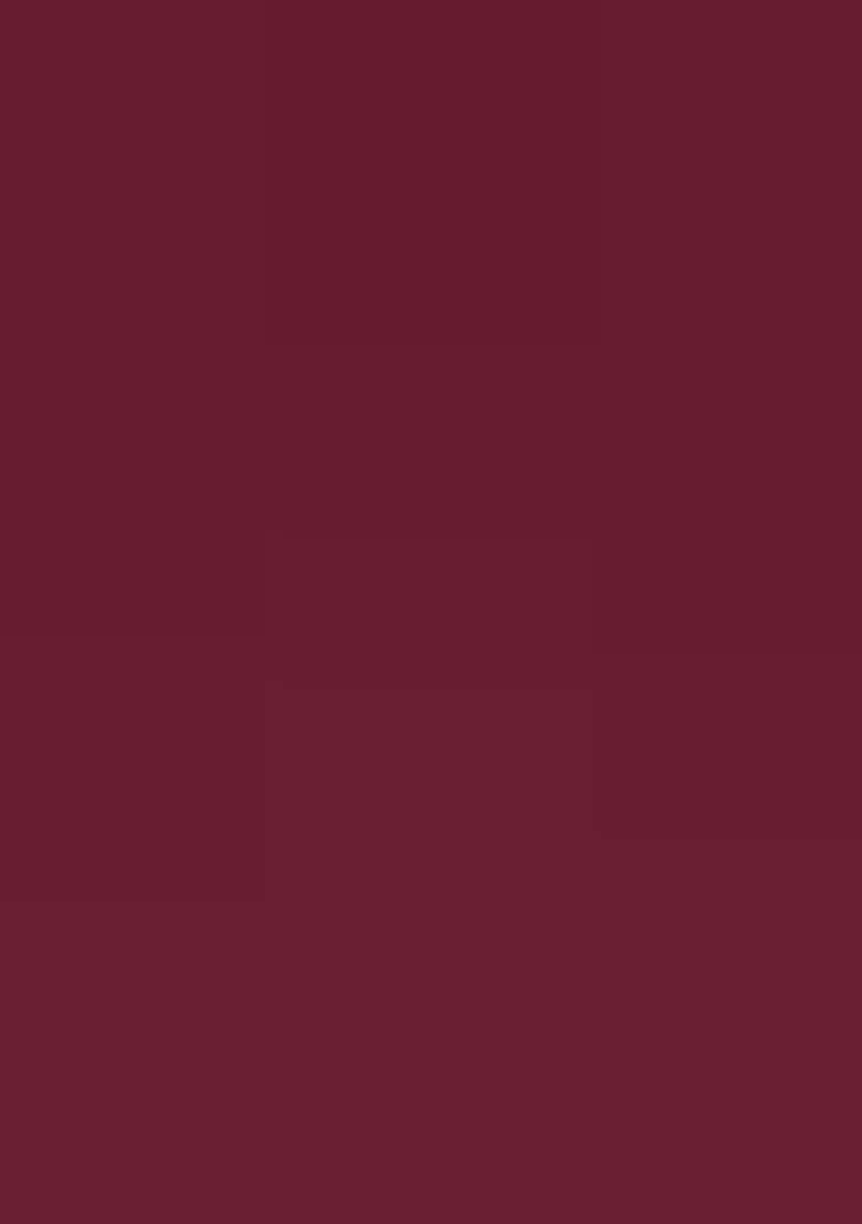 Wine Berry Printed Silk Saree Set