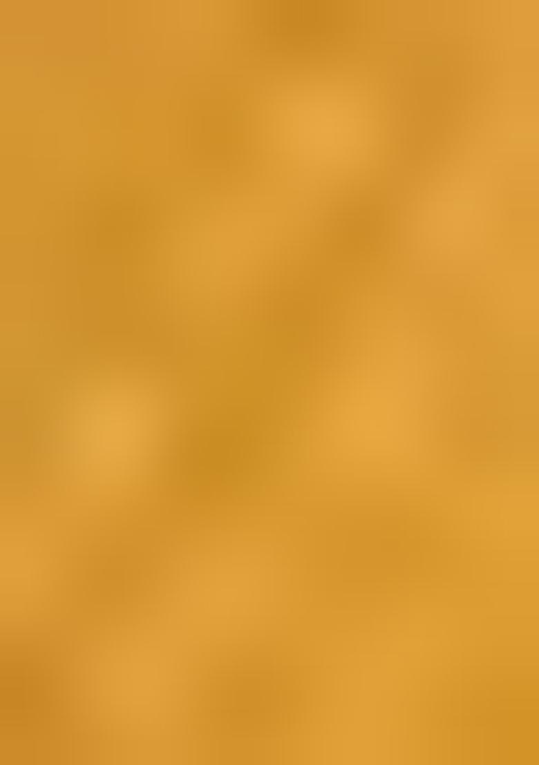 Mustard Yellow Embroidered Silk Saree Set