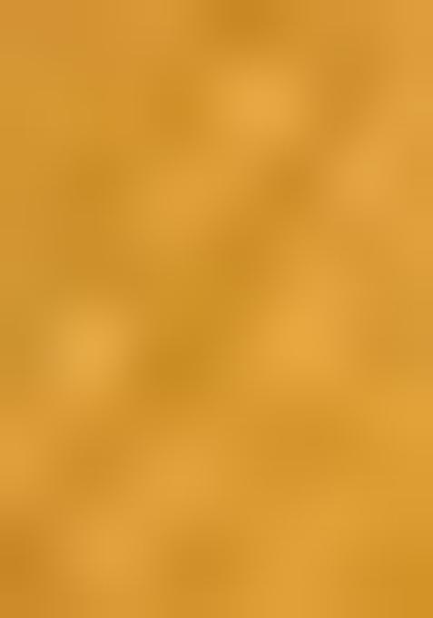 Mustard Yellow Embroidered Silk Saree Set