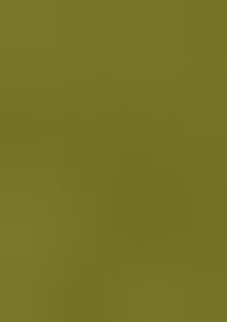 Parrot Green Zari Work Silk Saree Set