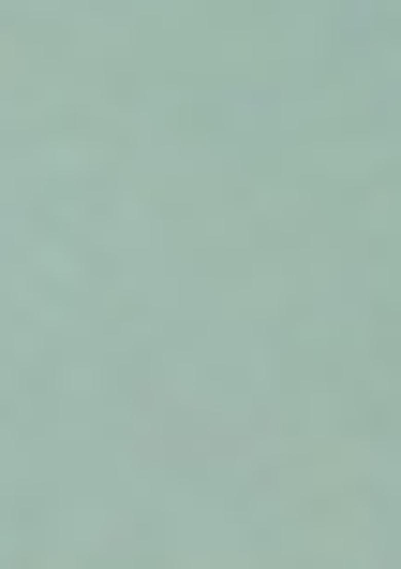 Sea Green Embroidered Net Saree Set