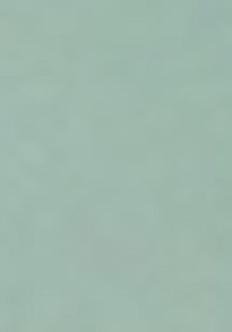 Sea Green Embroidered Net Saree Set