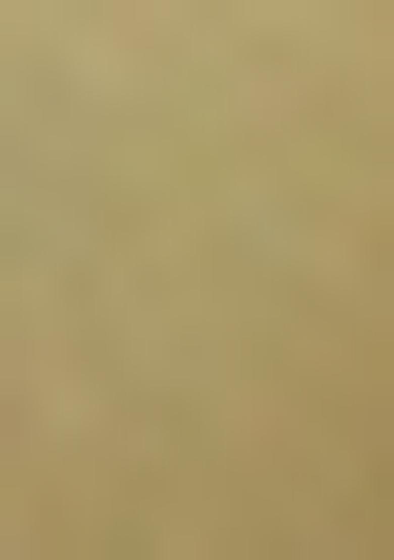 Chiku Brown Aari Work Dola Silk Saree Set