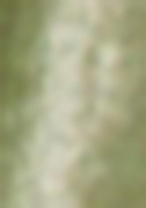 Mehendi Green Sequin Embroidered Dola Silk Saree Set