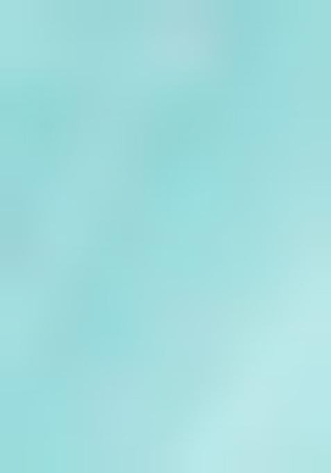 Sea Green Zari Work Silk Saree Set