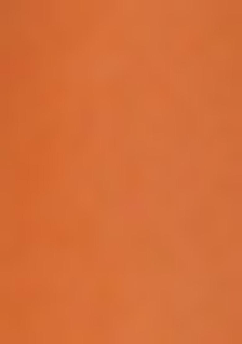 Orange Printed Organza Saree Set