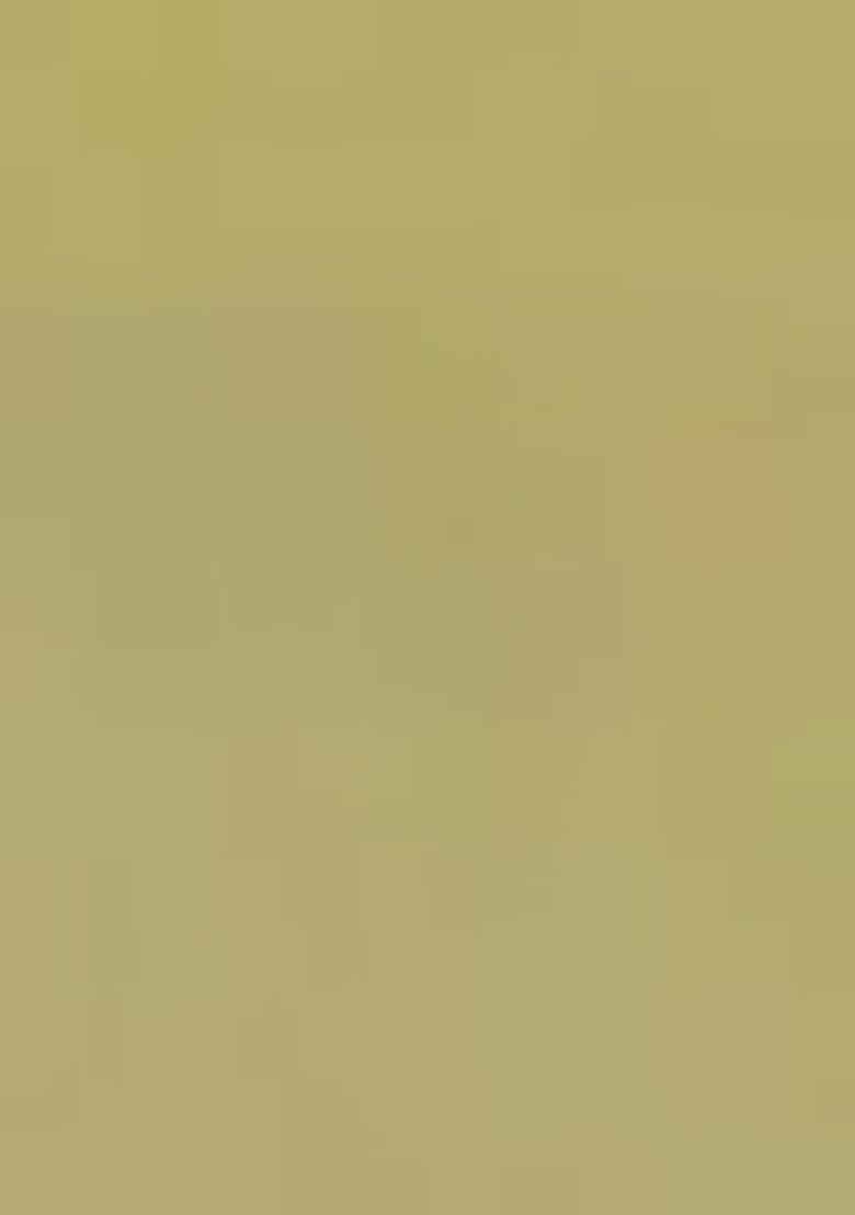 Yellow Zari Work Banarasi Silk Saree Set