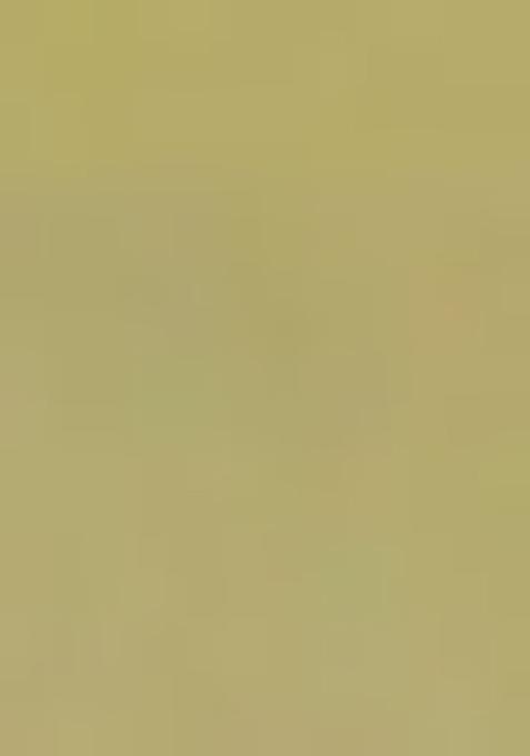 Yellow Zari Work Banarasi Silk Saree Set