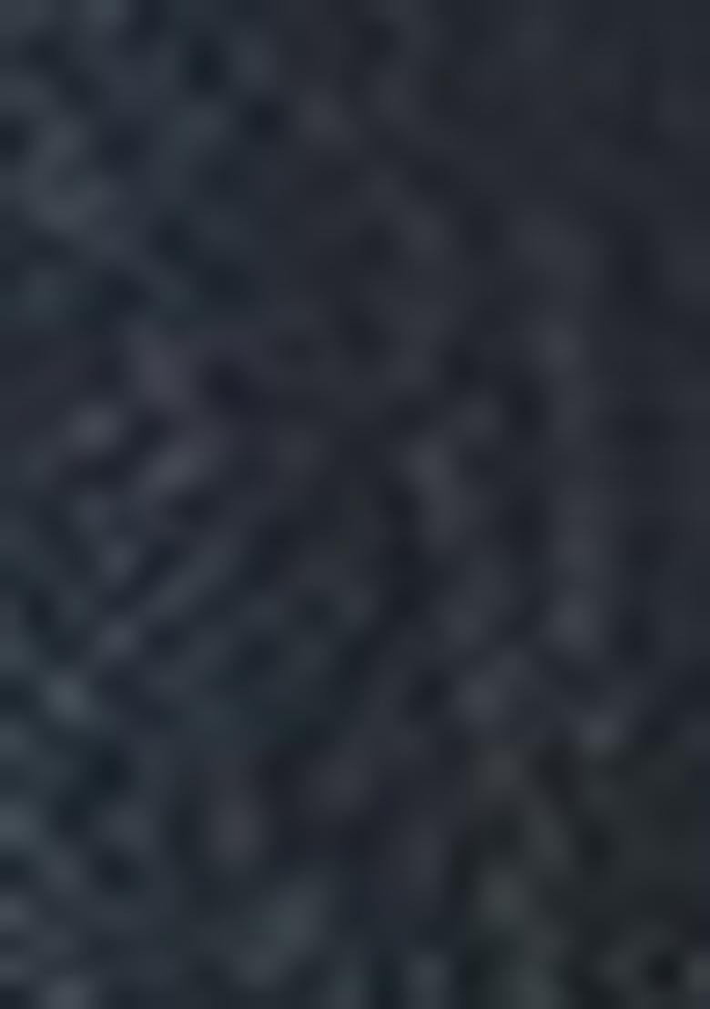 Teal Green Embellished Tissue Saree Set