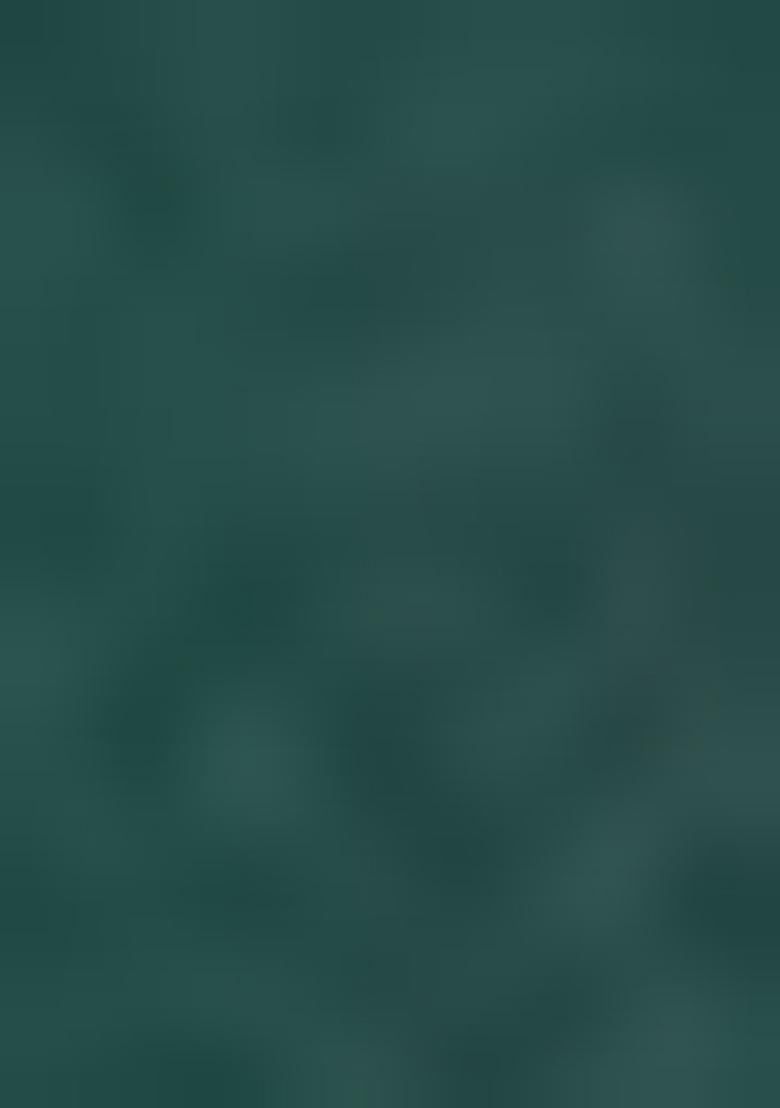 Green Embellished Poly Blend Saree Set