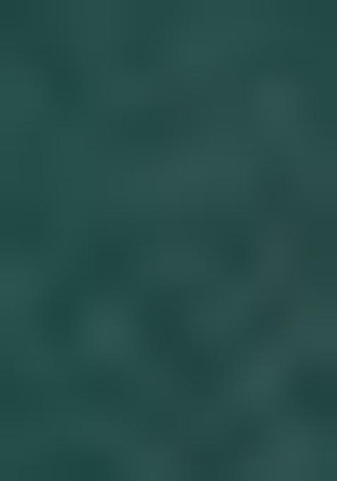 Green Embellished Poly Blend Saree Set