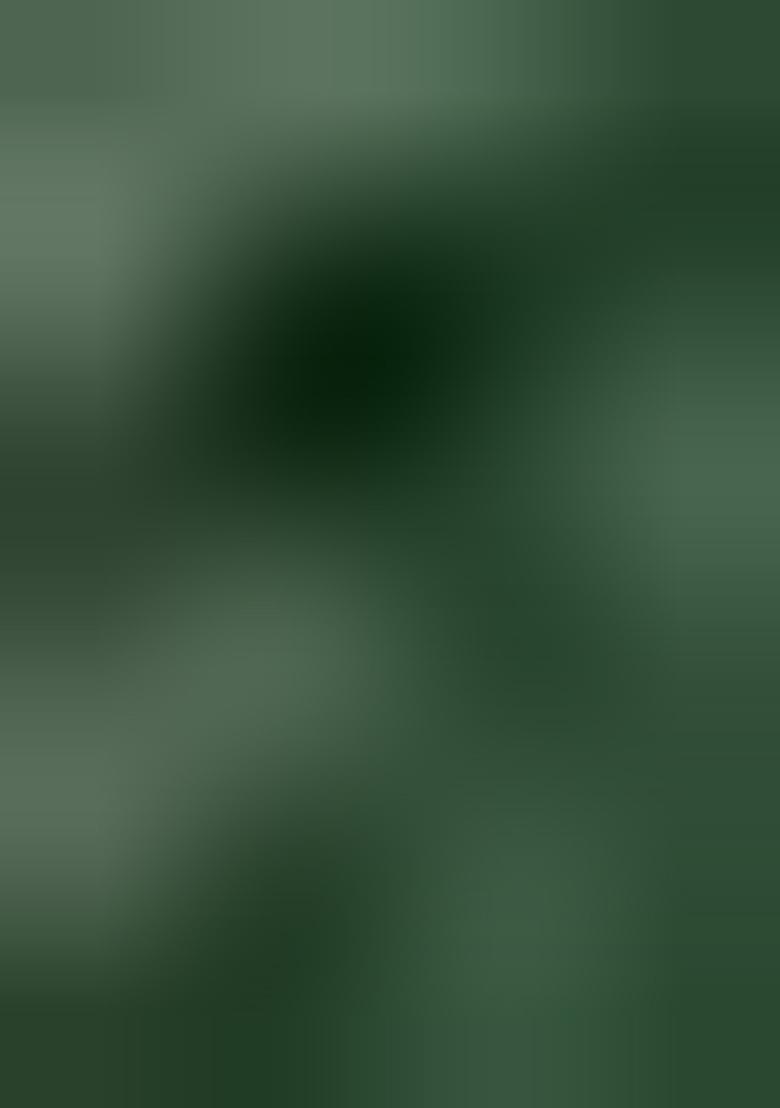 Green Embellished Poly Blend Saree Set