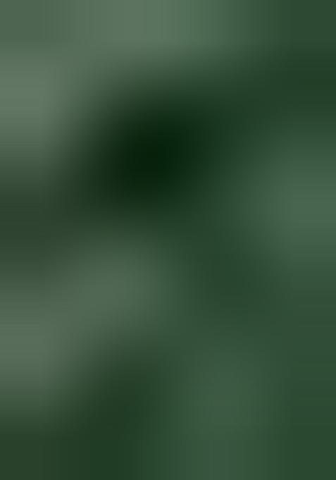 Green Embellished Poly Blend Saree Set