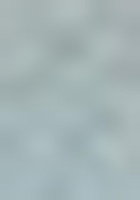 Blue Embellished Poly Blend Saree Set