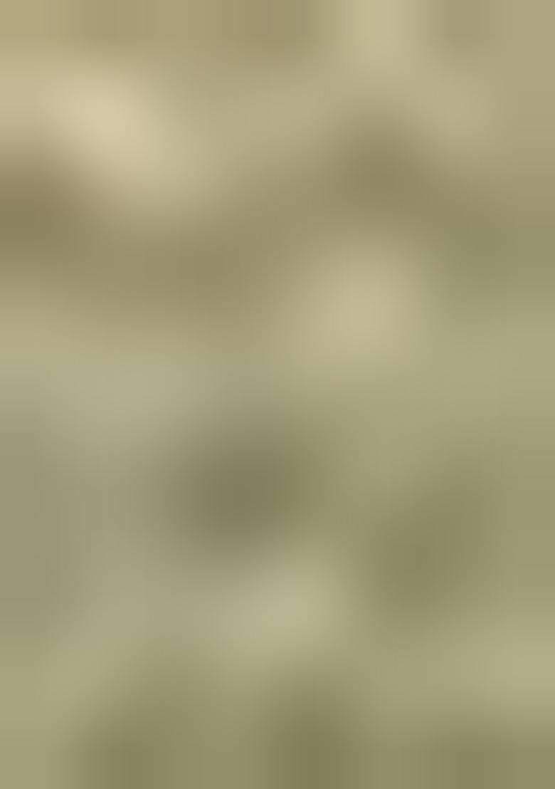 Green Block Print Poly Blend Saree Set