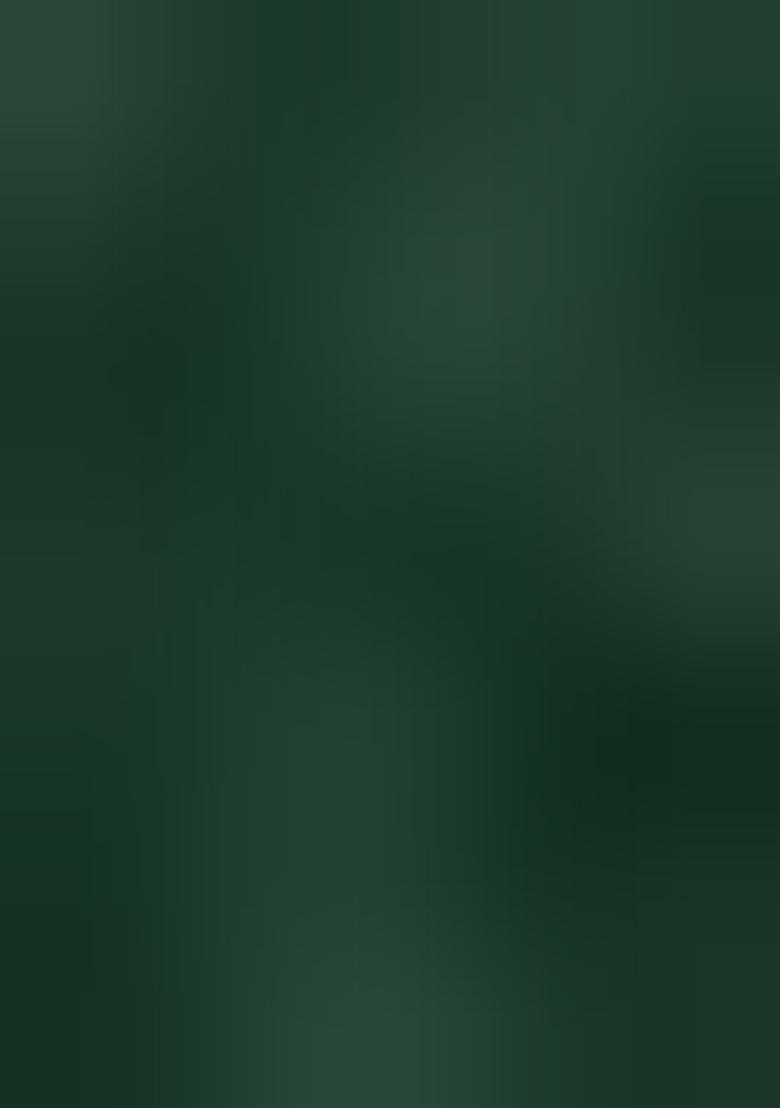 Green Embellished Poly Blend Saree Set