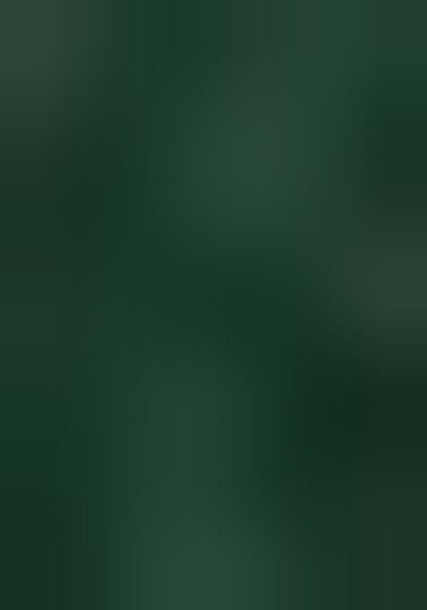 Green Embellished Poly Blend Saree Set