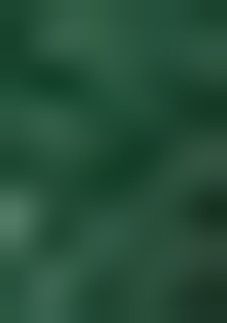 Green Embellished Silk Saree Set