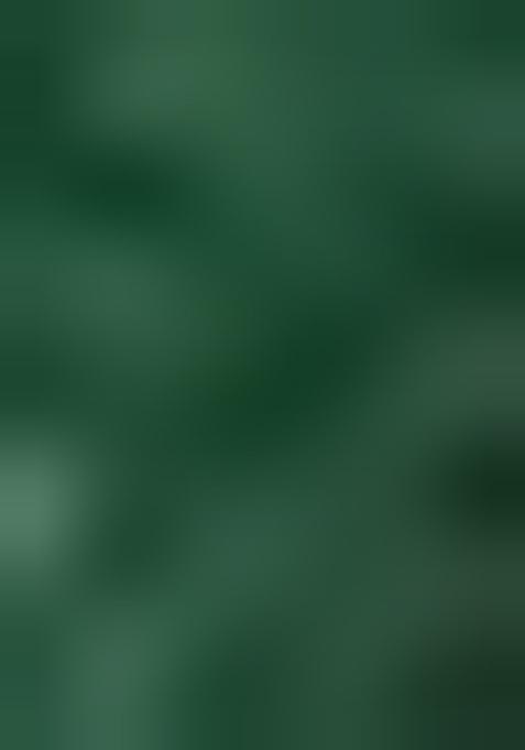 Green Embellished Silk Saree Set