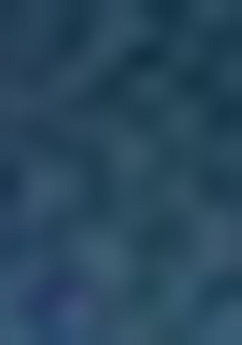 Blue Zari Kanjeevaram Silk Saree Set