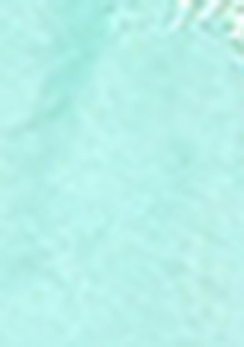 Sea Green Zari Work Banarasi Silk Saree Set