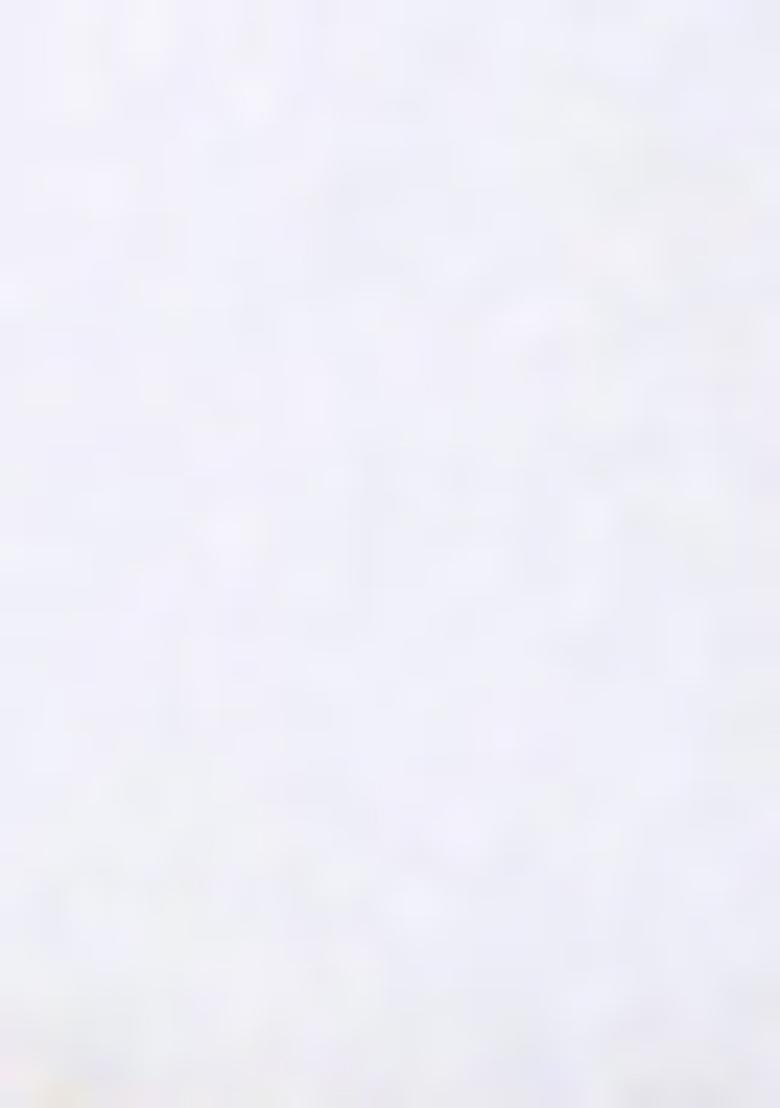 White Zari Work Banarasi Silk Saree Set