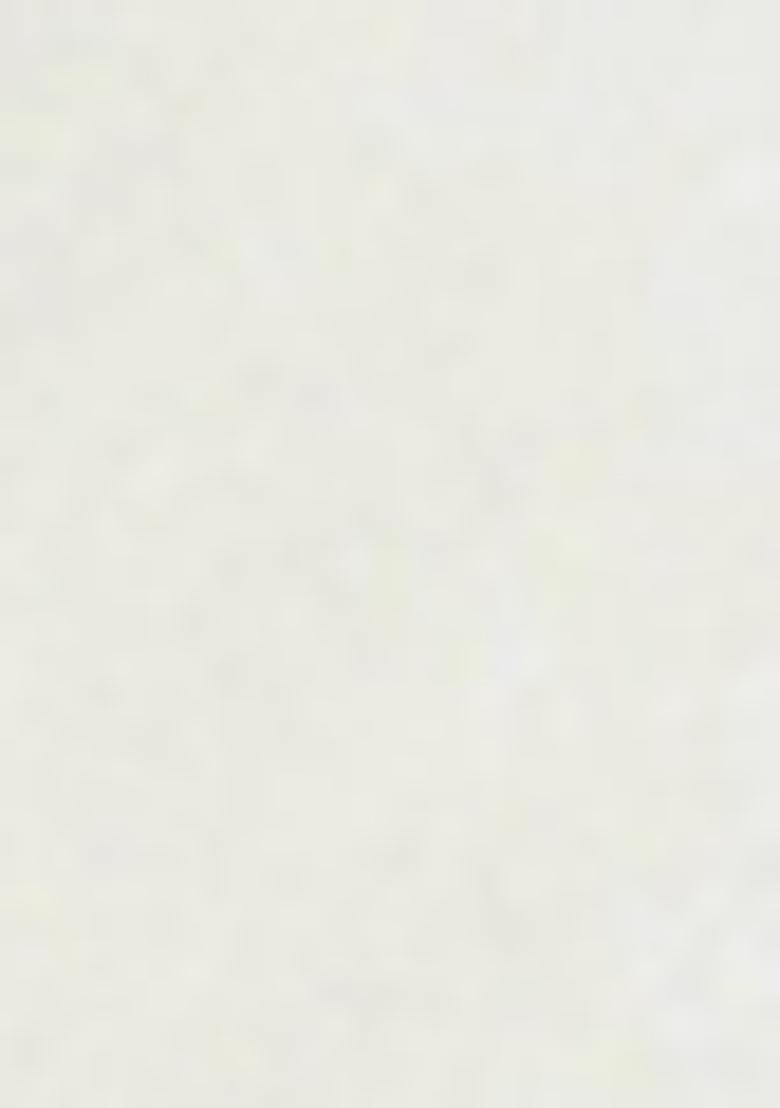 White Zari Work Banarasi Silk Saree Set