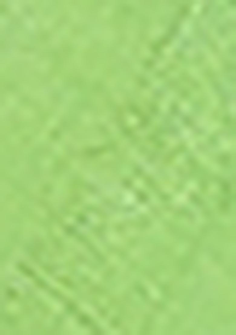 Pista Green Zari Work Banarasi Silk Saree Set