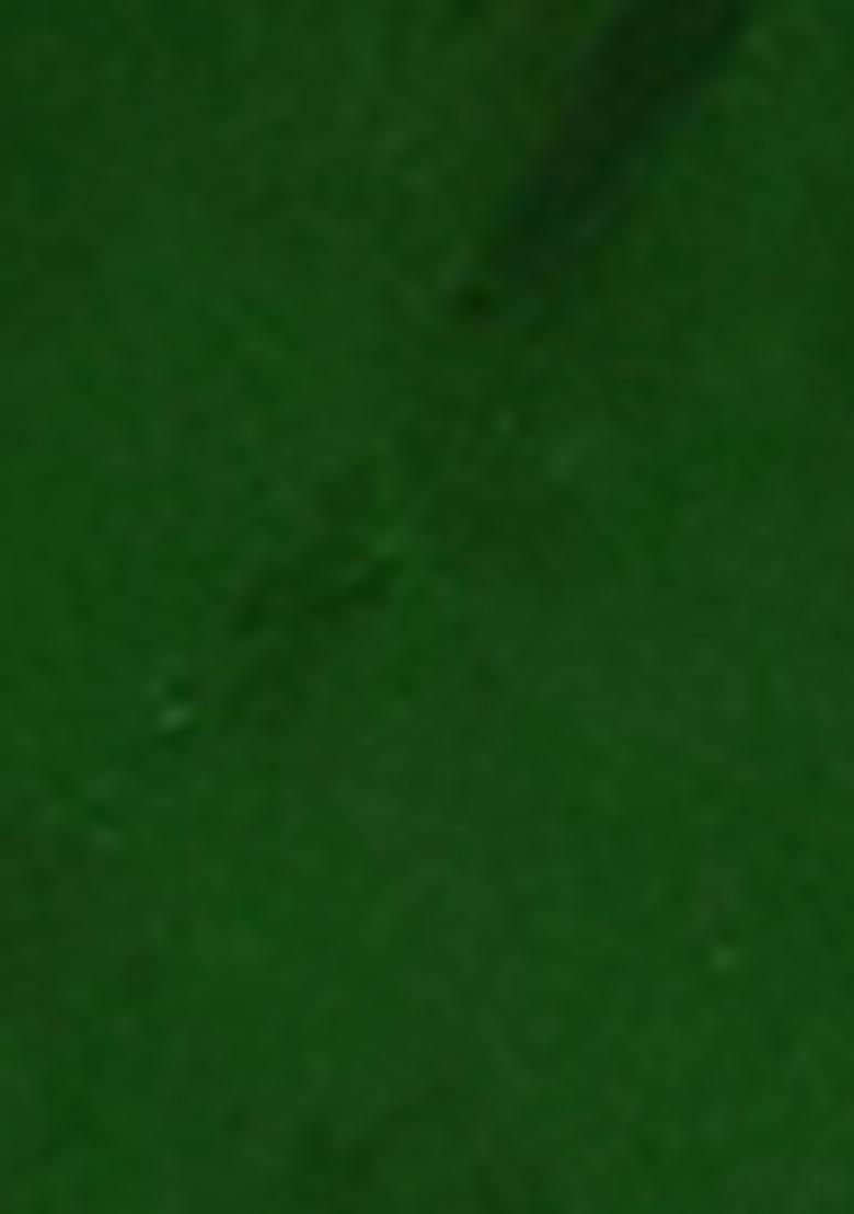 Green Zari Work Banarasi Silk Saree Set