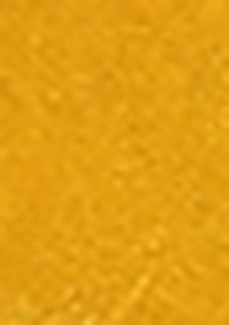 Mustard Yellow Zari Work Banarasi Silk Saree Set