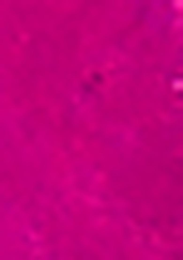 Magenta Zari Work Banarasi Silk Saree Set