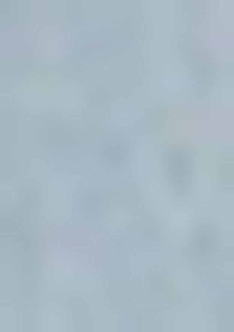 Sea Green Woven Zari Work Organza Saree Set